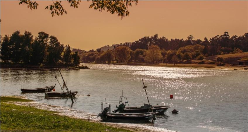 Just Like Home - Casa Do Sobreiro Velho Em Cerveira Vila Nova de Cerveira Exteriör bild